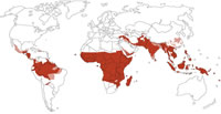 malaria map